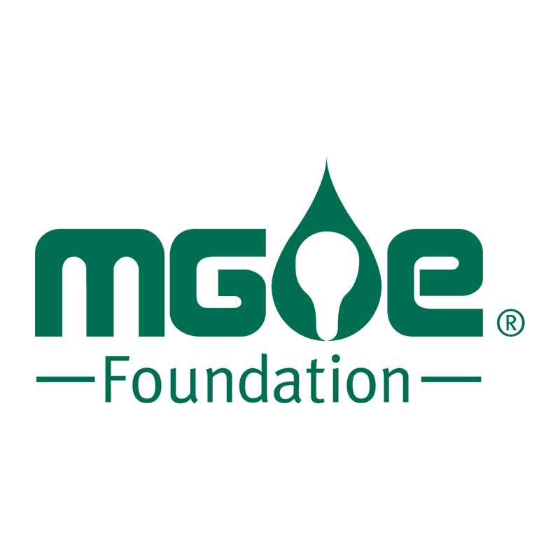 Madison Gas & Electric Foundation Logo